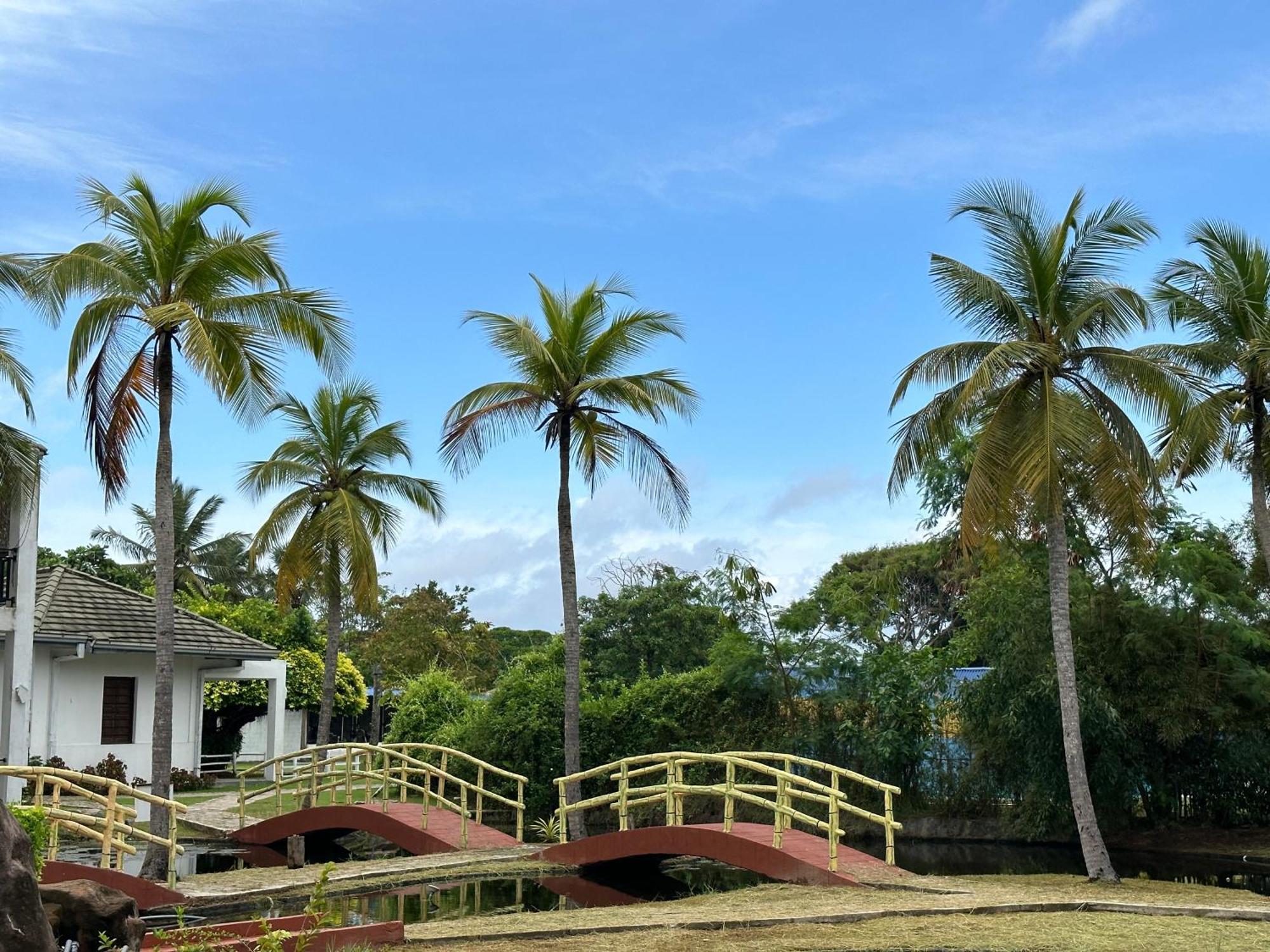 Amaluna Resorts Negombo Exterior photo